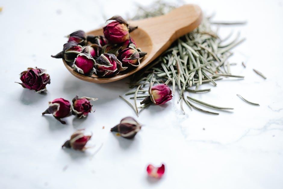 Herbal Remedies for Better Sleep
